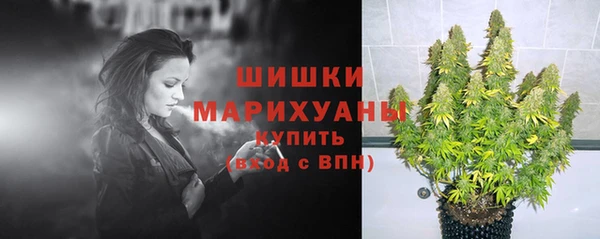 дживик Беломорск